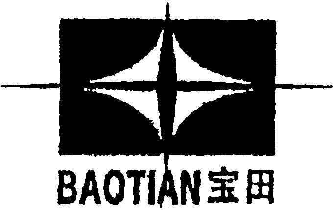 Paraqitja e markës BAOTIAN