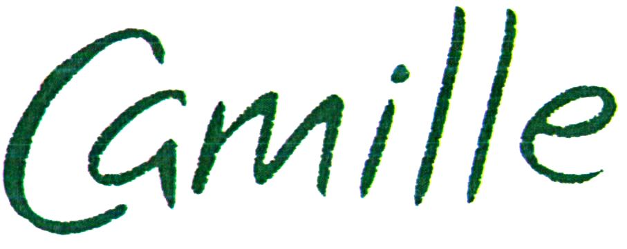 Paraqitja e markës Camille