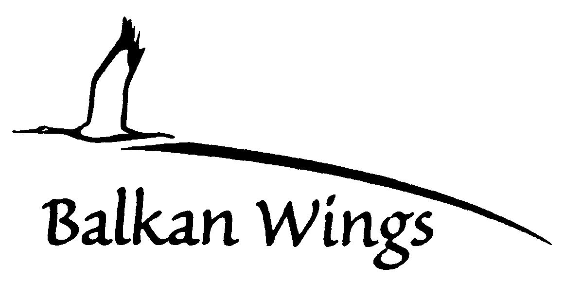 Paraqitja e markës Balkan Wings