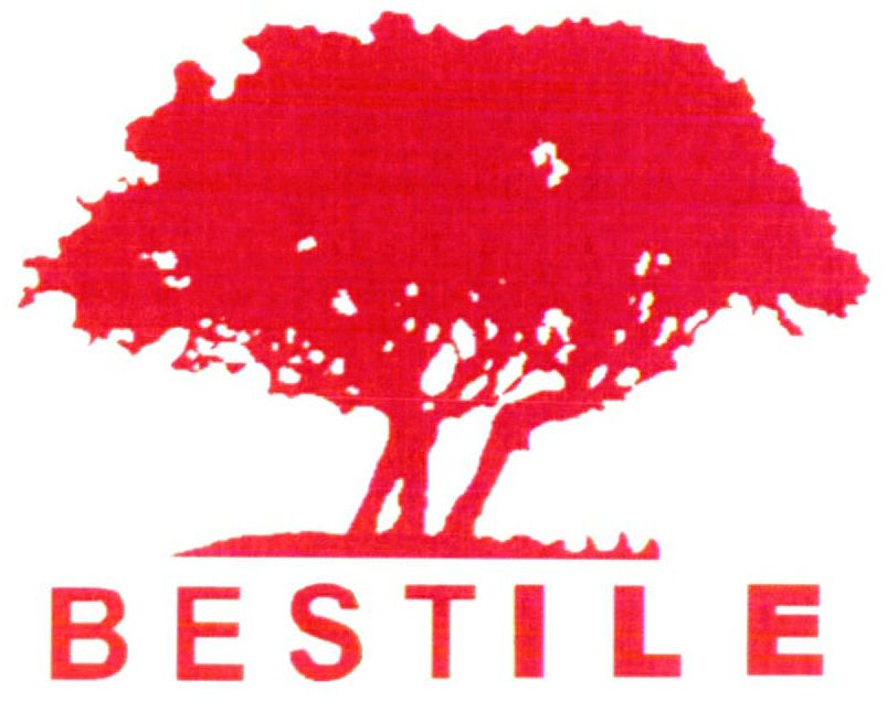 Paraqitja e markës BESTILE