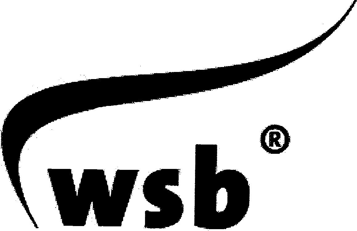 Paraqitja e markës wsb