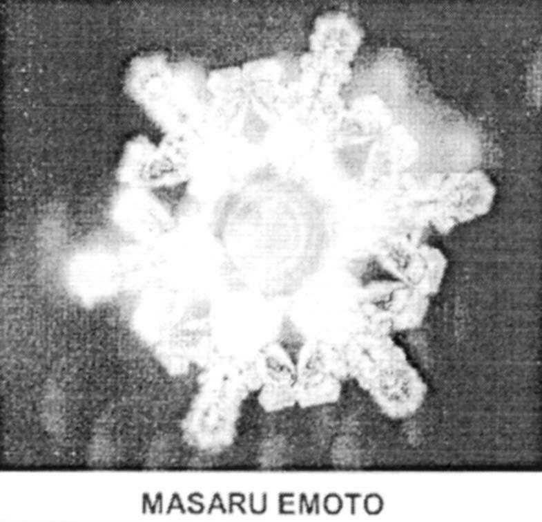 Paraqitja e markës MASARU EMOTO