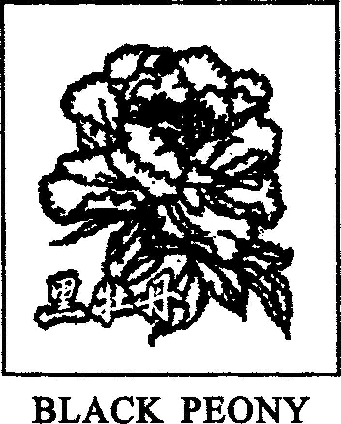 Paraqitja e markës BLACK PEONY