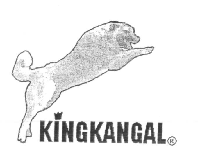 Paraqitja e markës KINGKANGAL