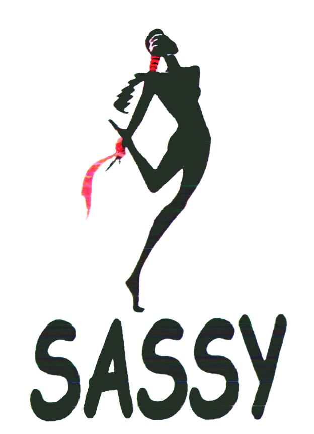 Paraqitja e markës SASSY