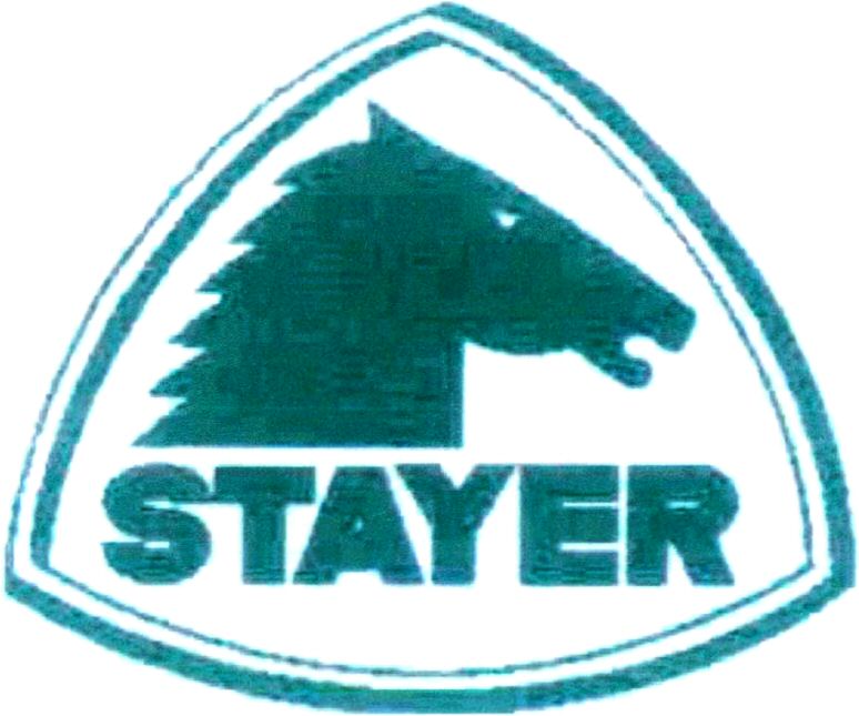 Paraqitja e markës STAYER