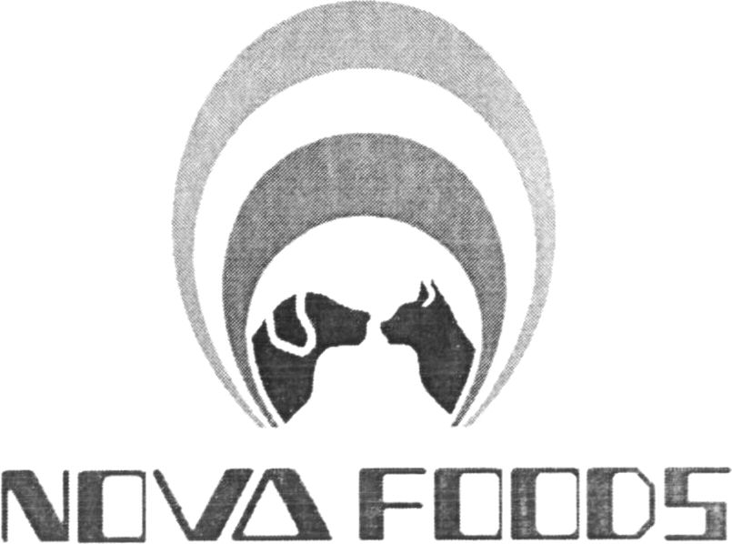 Paraqitja e markës NOVA FOODS