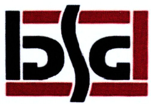 Paraqitja e markës bsg