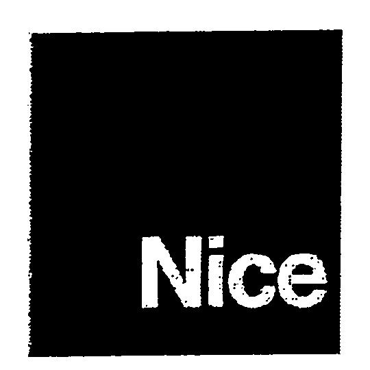 Paraqitja e markës Nice