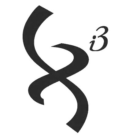 Paraqitja e markës Xi3