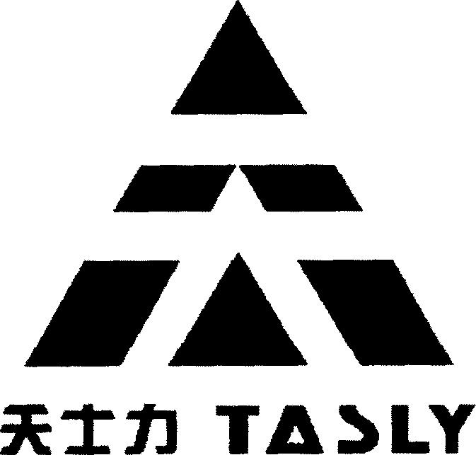 Paraqitja e markës TASLY