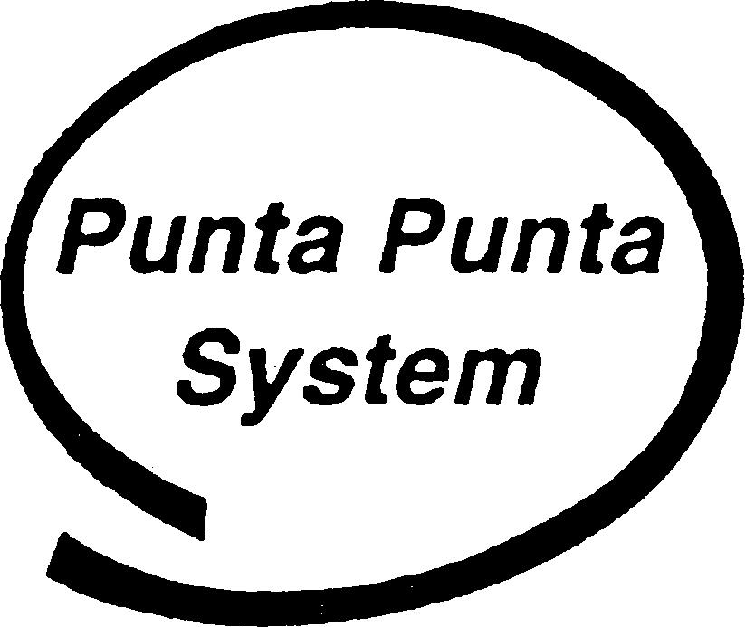 Paraqitja e markës Punta Punta System