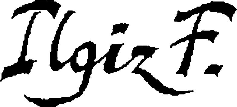 Paraqitja e markës Ilgiz F.