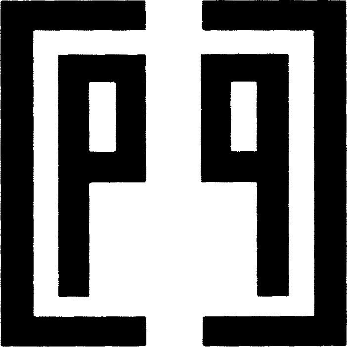 Paraqitja e markës CP
