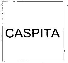 Paraqitja e markës CASPITA