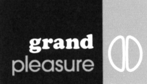 Paraqitja e markës grand pleasure