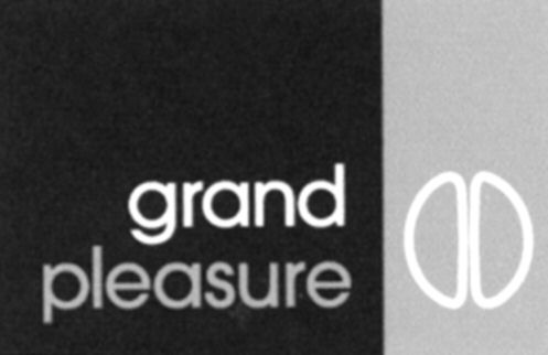 Paraqitja e markës grand pleasure