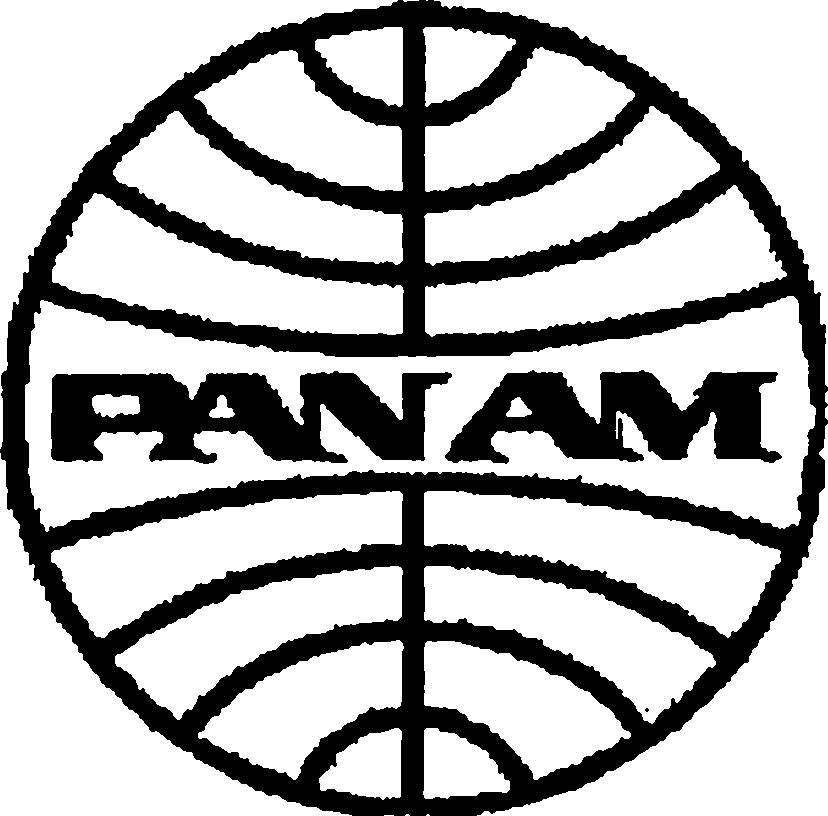 Paraqitja e markës PAN AM