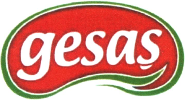 Paraqitja e markës gesas
