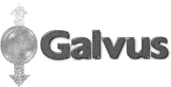 Paraqitja e markës Galvus