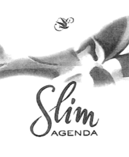 Paraqitja e markës Slim AGENDA