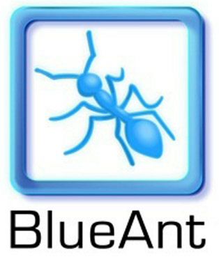 Paraqitja e markës BlueAnt