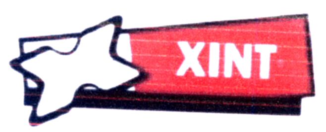 Paraqitja e markës XINT