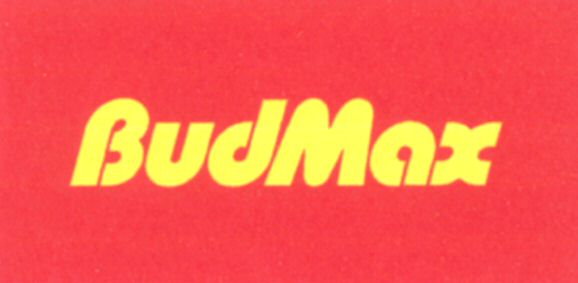 Paraqitja e markës BudMax