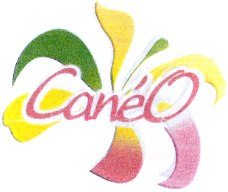 Paraqitja e markës CaneO