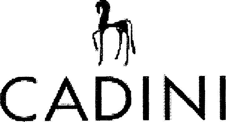 Paraqitja e markës CADINI
