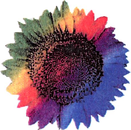 Paraqitja e markës AL/M/1/948076