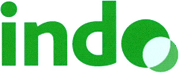 Paraqitja e markës indo