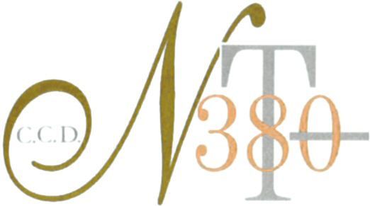Paraqitja e markës C.C.D. NT 380