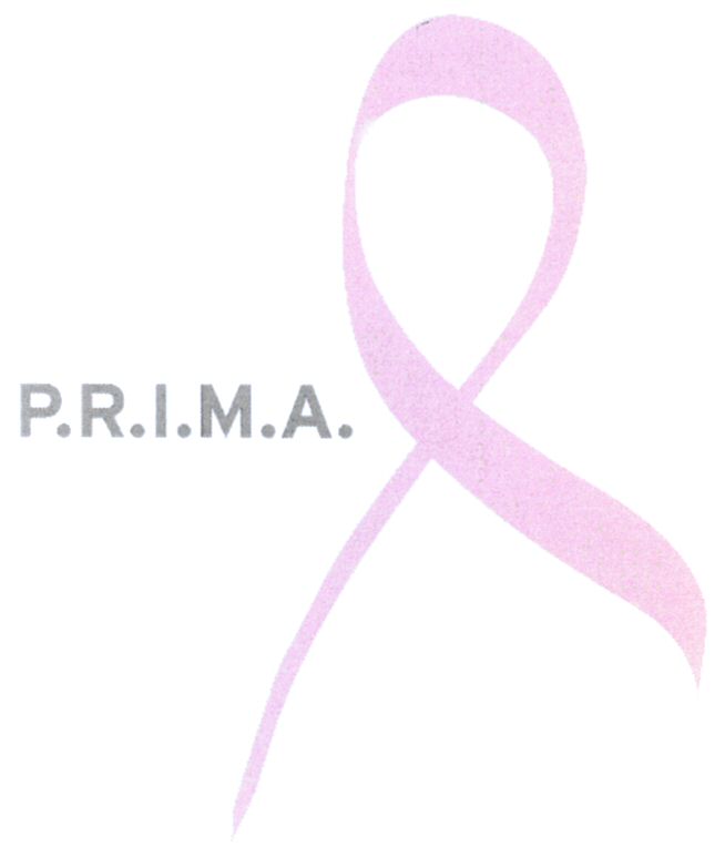 Paraqitja e markës P.R.I.M.A.