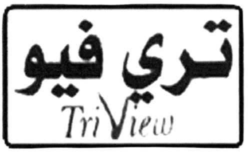 Paraqitja e markës TriView