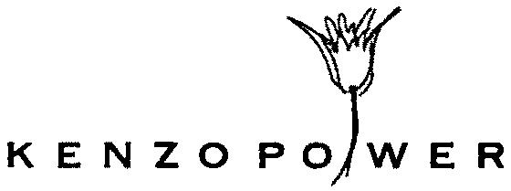 Paraqitja e markës KENZO POWER