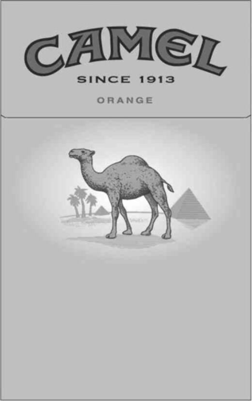 Paraqitja e markës CAMEL SINCE 1913 ORANGE