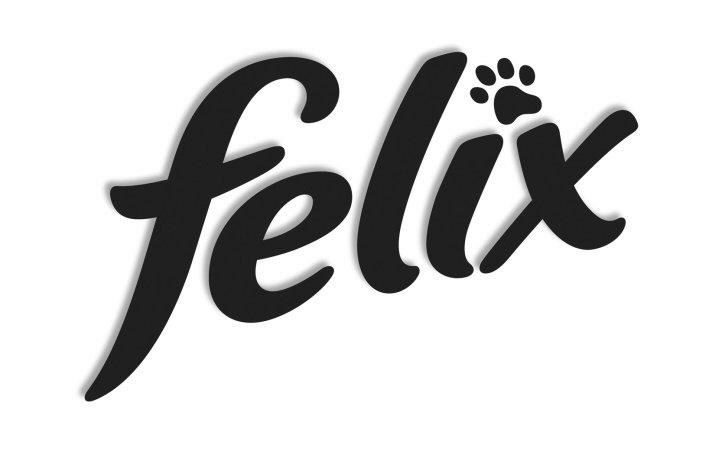 Paraqitja e markës felix