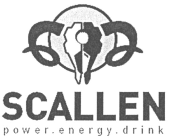 Paraqitja e markës SCALLEN power.energy.drink