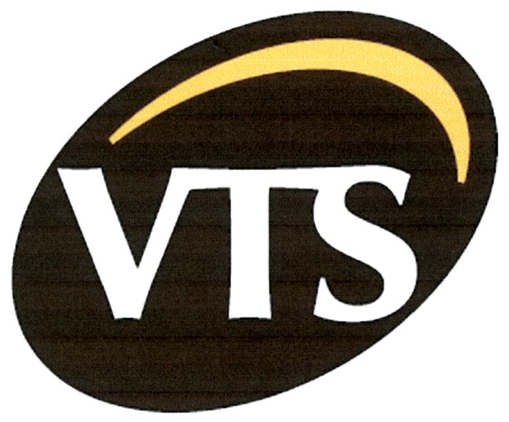 Paraqitja e markës VTS