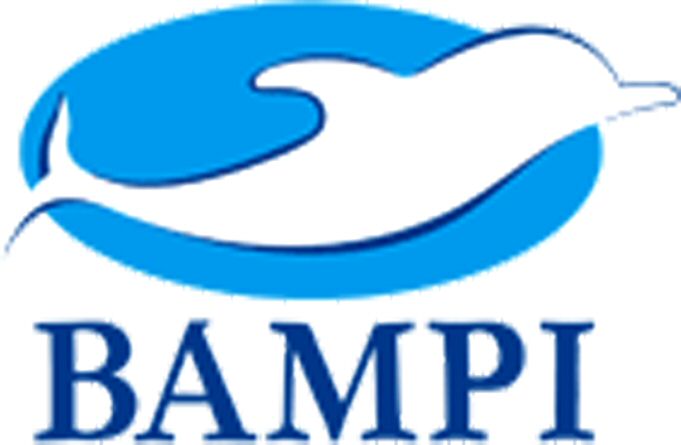 Paraqitja e markës BAMPI