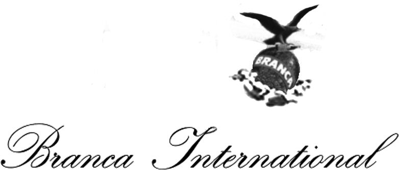 Paraqitja e markës Branca International