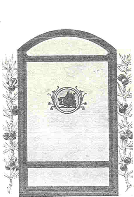 Paraqitja e markës GORDON'S DRY GIN Device