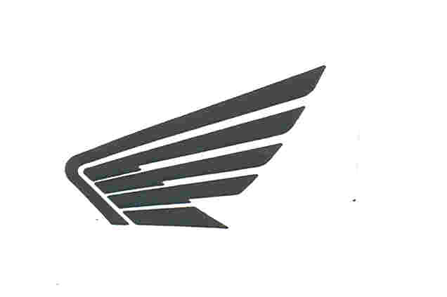 Paraqitja e markës WING
