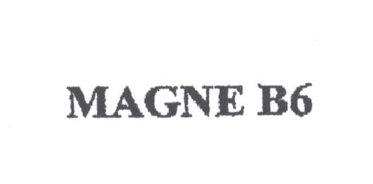 Paraqitja e markës MAGNE B6