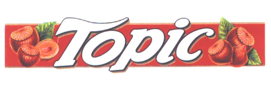 Paraqitja e markës TOPIC