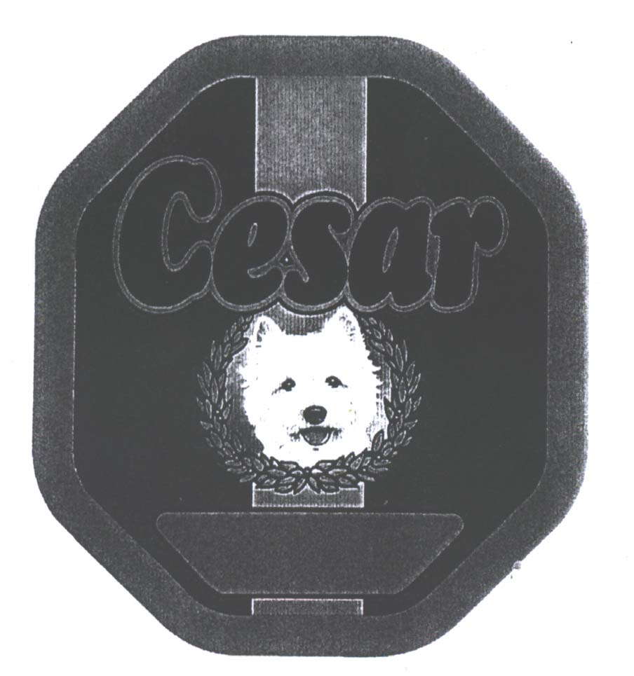 Paraqitja e markës CESAR