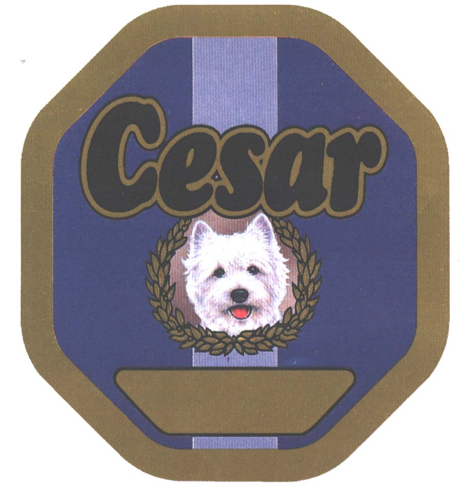 Paraqitja e markës CESAR