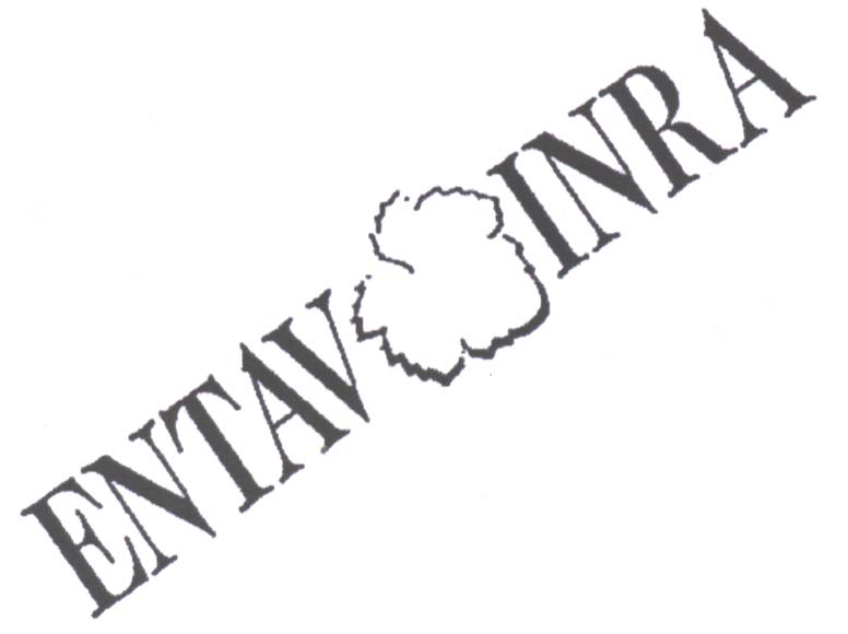 Paraqitja e markës ENTAV INRA