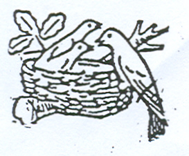 Paraqitja e markës NEST